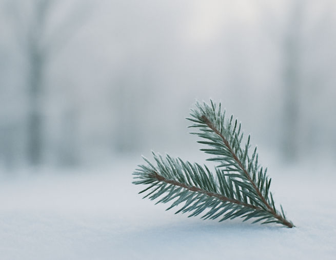 Keep It Simple and Keep It Strong