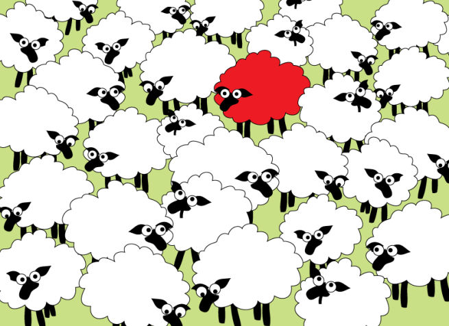 Red Sheep Standing Out from Crowd